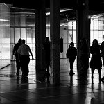 50807956673_791a573736_q