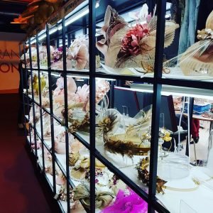 48728931016_fc3bdfdbfb_c