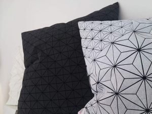 48729141506_fa333766a0_z