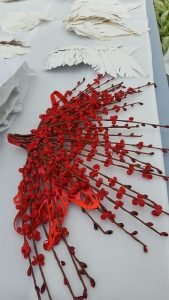 48729260587_c8e813519e_z